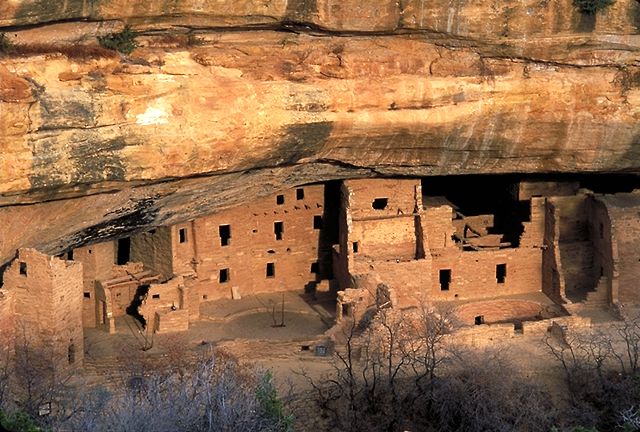 Spruce Tree House