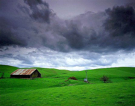 Old Barn near Dunnigan, Sacramento Valley, California