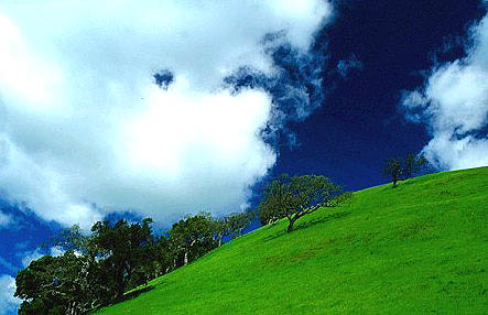 Marin County, California