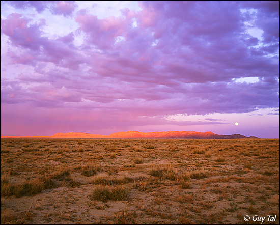 Desert Moonrise and Thunderstorm