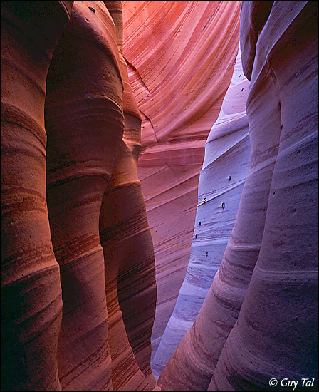 Striped Slot