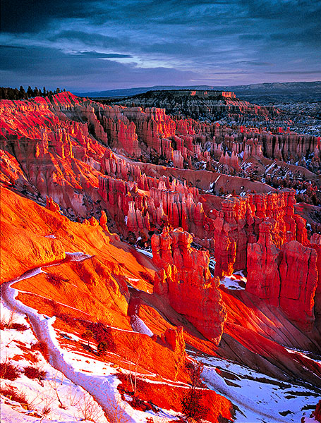 Bryce amphitheater