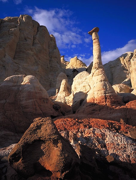 Paria-Vermilion Cliffs Wilderness