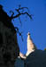 Tent Rocks