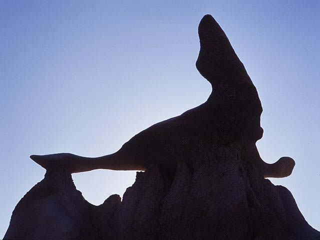 seal