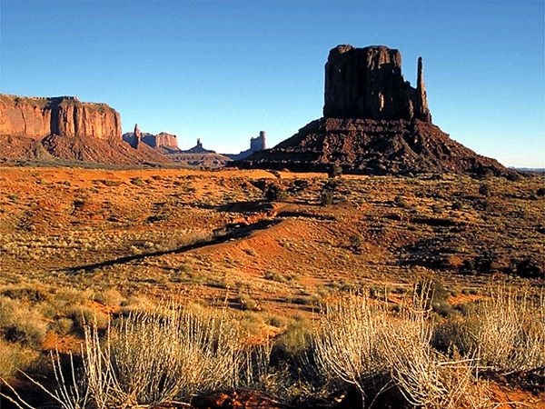 West_Mitten_floor